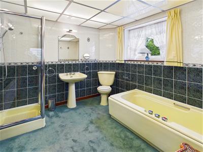 Picture 21